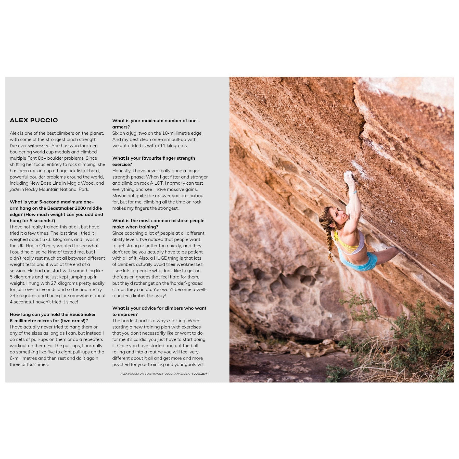 Beastmaking, trainingsboek