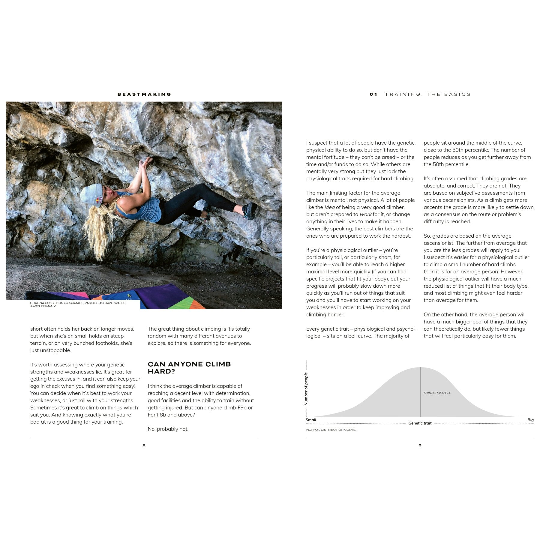 Beastmaking, trainingsboek