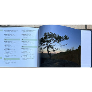 Load image into Gallery viewer, Castles Made of Sand (2025), guidebook