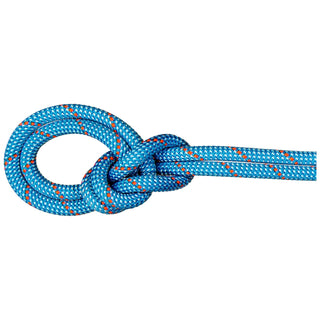 Charger l'image dans la galerie, Crag Classic (9.8mm, 70m) - bleu, corde à simple d’escalade