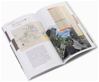 Load image into Gallery viewer, Escalade à Fontainebleau, guidebook