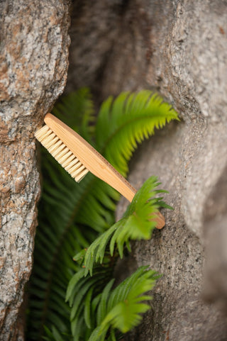 Afbeelding in Gallery-weergave laden, Vegan Eco-Brush, boulderborstel
