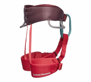Charger l'image dans la galerie, Momentum - wild rose, harnais d'escalade pour enfants