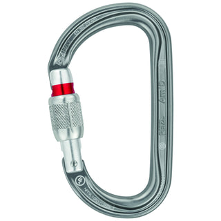 Load image into Gallery viewer, Am'D Screw-lock, locking carabiner
