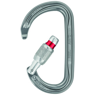 Load image into Gallery viewer, Am'D Screw-lock, locking carabiner
