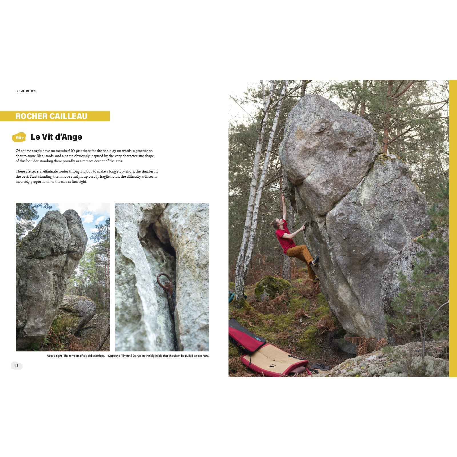 Bleau Blocs (Anglais), topo-guide escalade