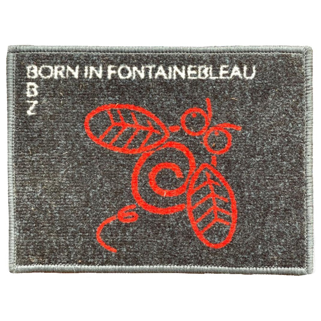 Carpet Z - Born in Fontainebleau, boulder carpet