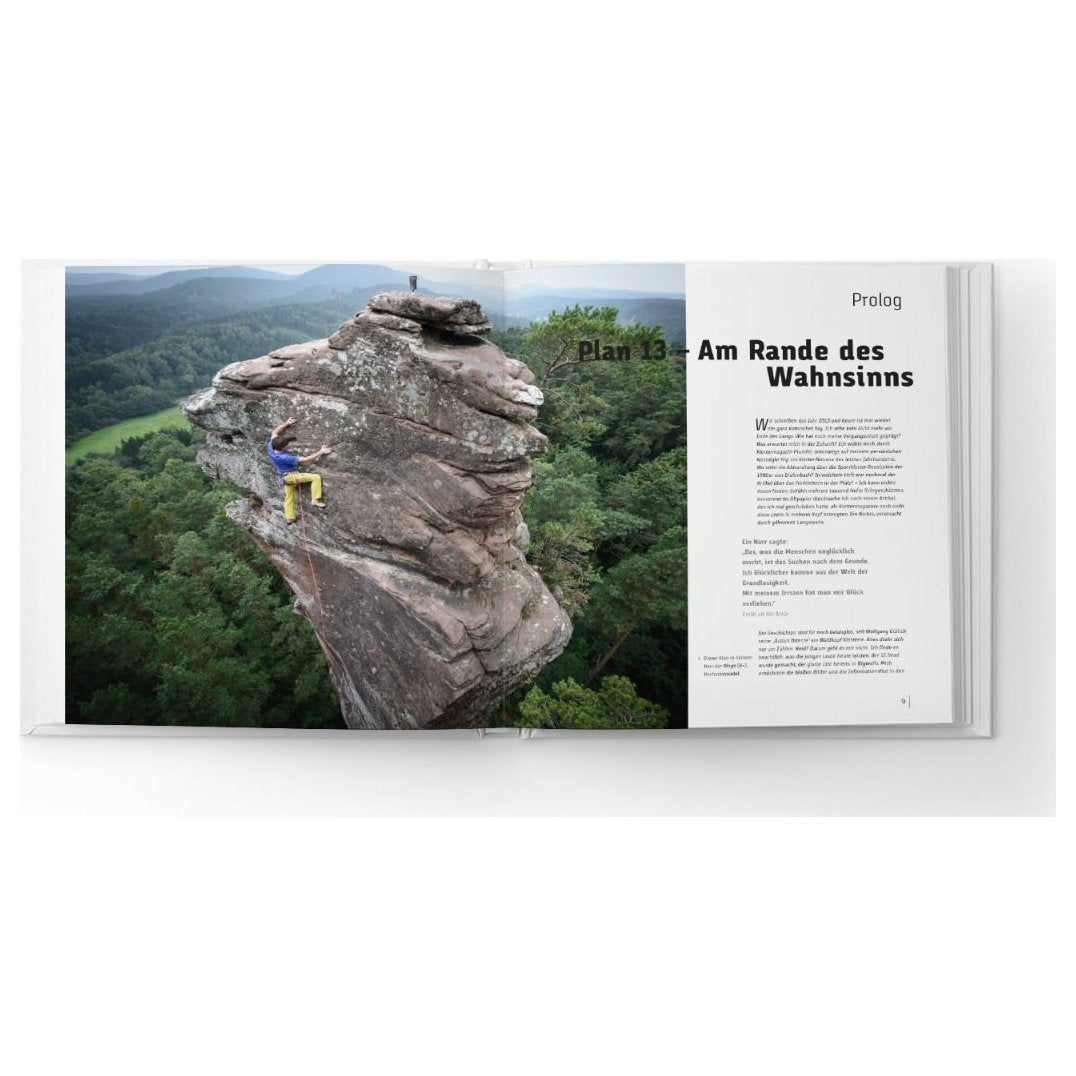 Die Pfalz. Das Buch. Palatinum (German), chronicle