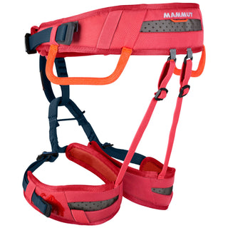 Load image into Gallery viewer, Ophir Kids - barberry, kid's climbing harness
