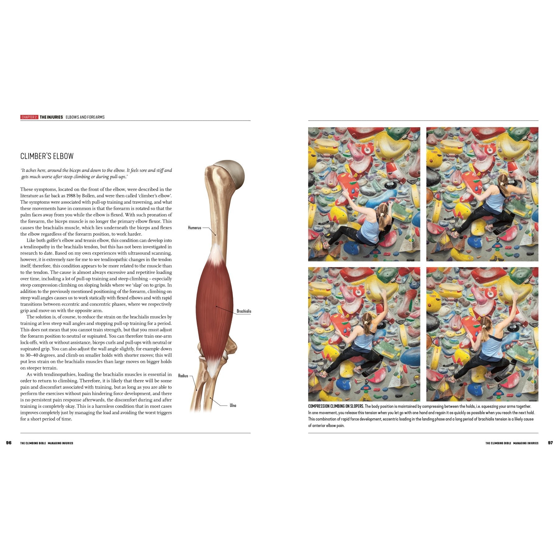 The Climbing Bible - Managing Injuries, training guide