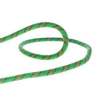 Load image into Gallery viewer, Tiger (10mm 70m) - unicore drycover, green, climbing rope
