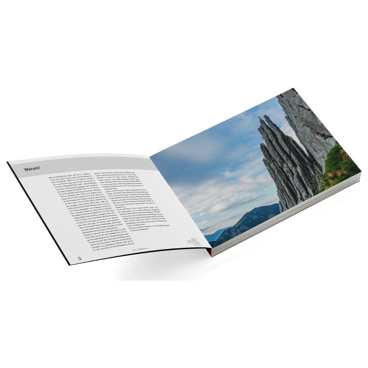 Türme - 50 exposed climbing routes (German), guidebook