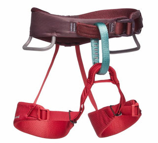Load image into Gallery viewer, Momentum Kid&#39;s - wild rose, kid&#39;s climbing harness
